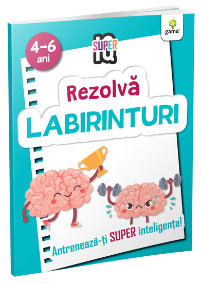 Labirinturi - 20.27 Lei
