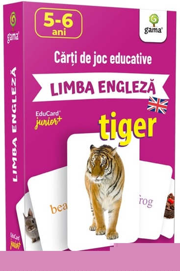 Limba engleza - 14.20 Lei