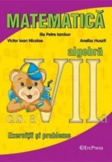 Matematica algebra exercitii si probleme clasa a 7-a - 17.28 Lei