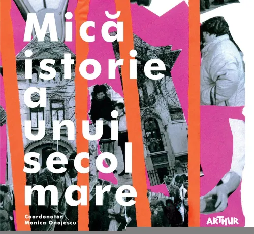 Mica istorie a unui secol mare - 38.93 Lei