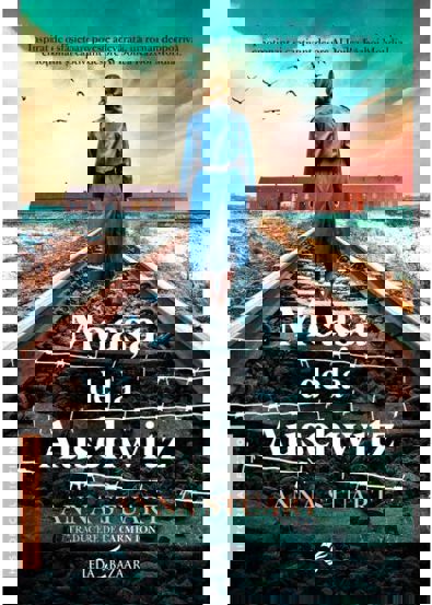 Moasa de la Auschwitz - 45,63 Lei