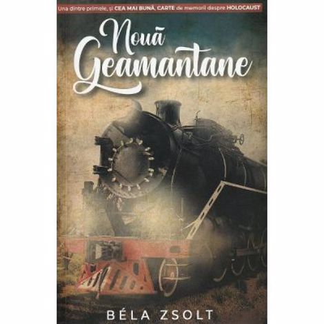 Noua Geamantane - 24.73 Lei