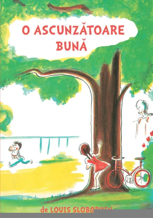 O ascunzatoare buna - 29.10 Lei