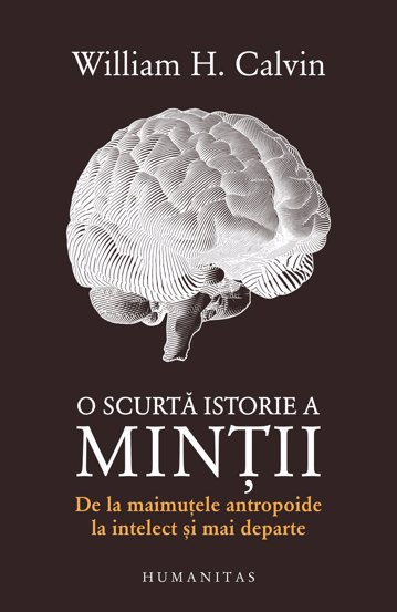 O scurta istorie a mintii - 25.41 Lei