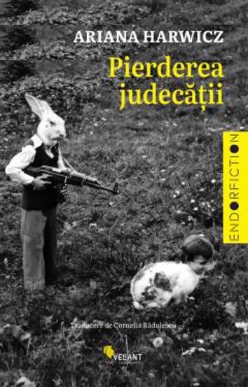 Pierderea judecatii - 31,32 Lei