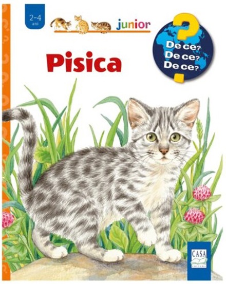 Pisica - 35,39 Lei