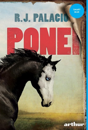 Ponei - 32,50 Lei