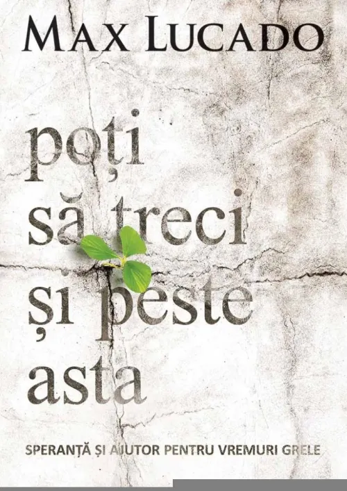 Poti sa treci si peste asta - 40.80 Lei