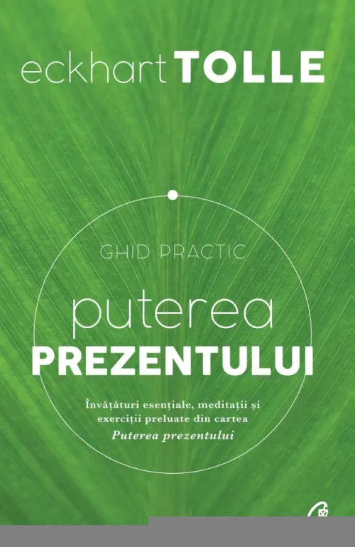 Puterea prezentului. Ghid practic - 29.54 Lei