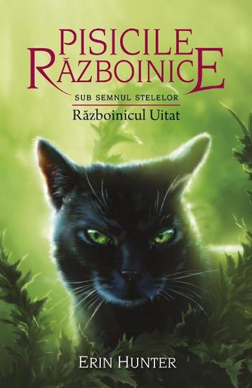 Razboinicul uitat. Seria Pisicile razboinice Vol.23 - 46.18 Lei