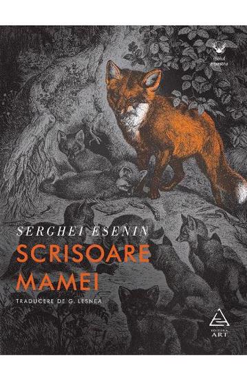 Scrisoare mamei - 24,85 Lei