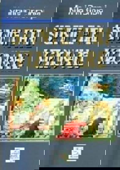 Sfinte firi vizionare - 14,50 Lei