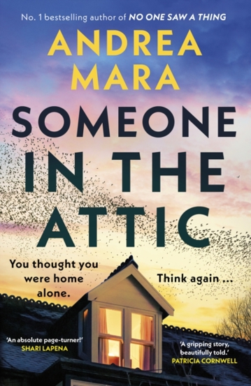 Someone in the Attic - 92.59 Lei