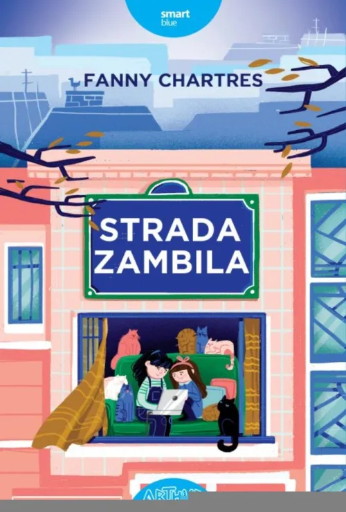 Strada Zambila - 35.45 Lei