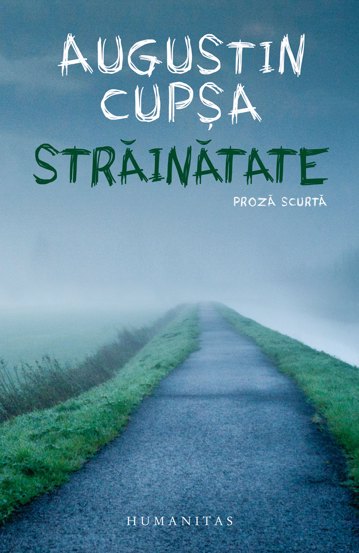 Strainatate - 27.93 Lei