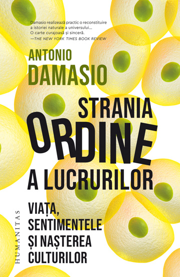 Strania ordine a lucrurilor - 35.03 Lei