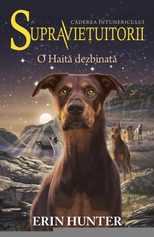 Supravietuitorii Vol.7: O Haita dezbinata - 36.00 Lei