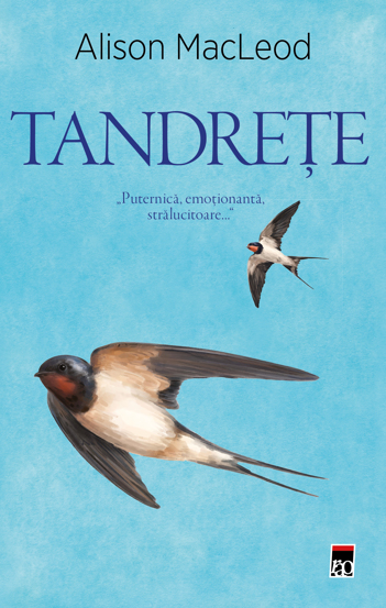 Tandrete - 47.81 Lei