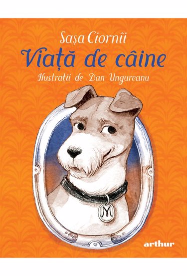 Viata de caine - 30.13 Lei