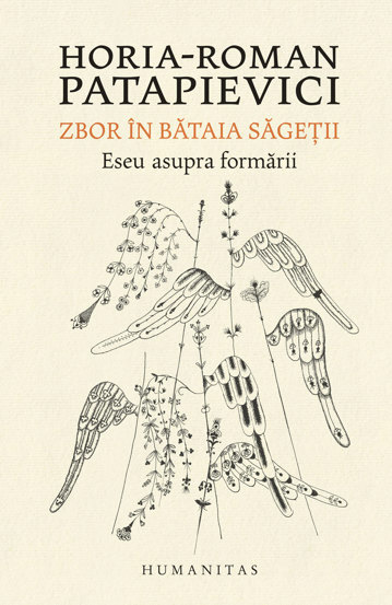 Zbor in bataia sagetii - 56.10 Lei