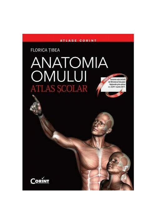 Anatomia omului. Atlas scolar - 35.10 Lei
