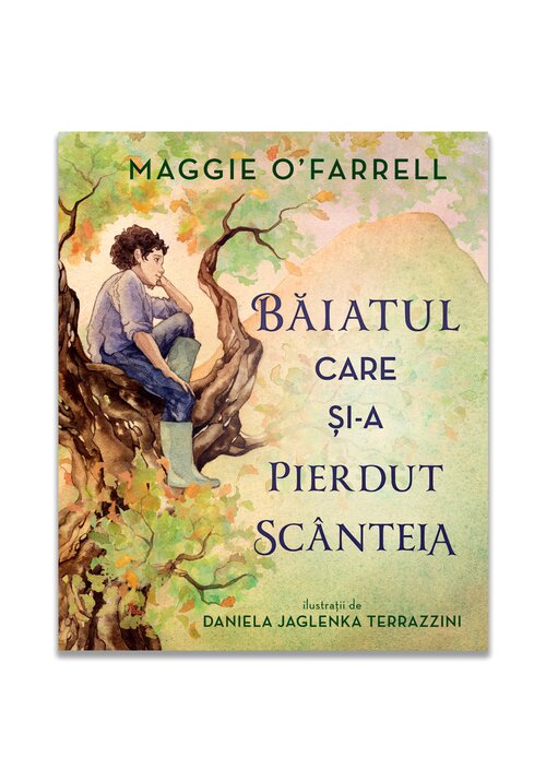 Baiatul care si-a pierdut scanteia - 45.67 Lei