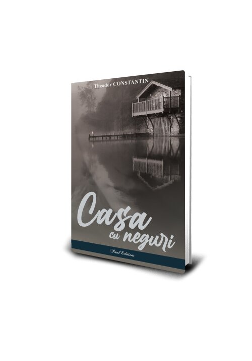 Casa cu neguri - 29.60 Lei
