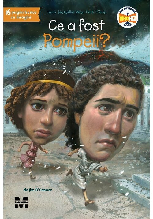 Ce a fost Pompeii? - 31.20 Lei