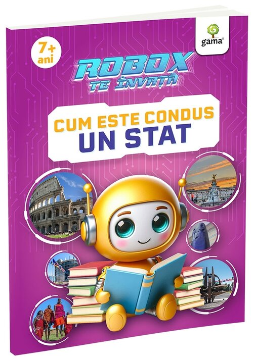 Cum este condus un stat - 17,13 Lei