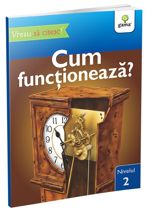 Cum functioneaza? • nivelul 2 - 20 Lei