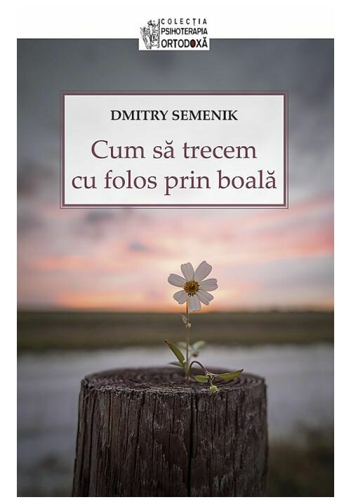 Cum sa trecem cu folos prin boala - 26.64 Lei