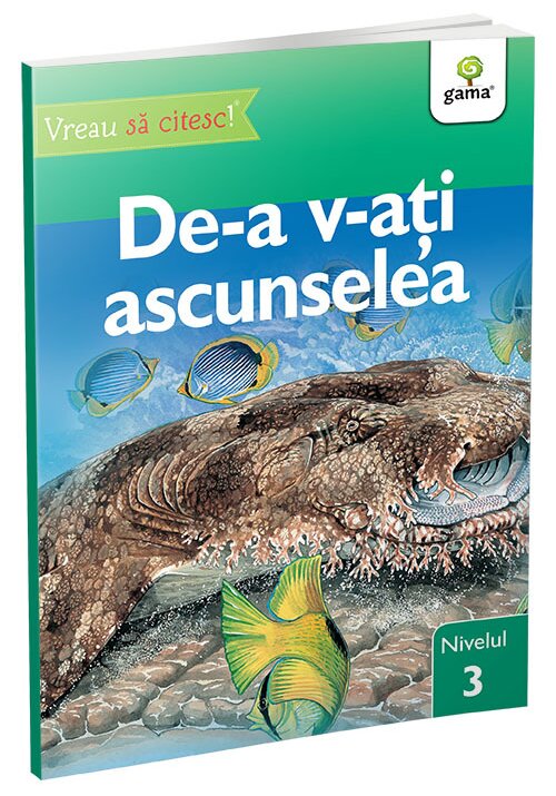 De-a v-ati ascunselea • nivelul 3 - 18.08 Lei