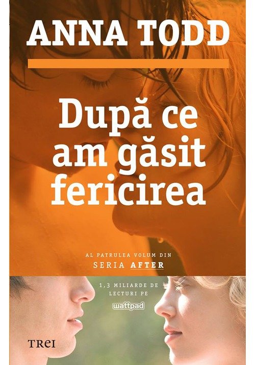 Dupa ce am gasit fericirea - 41.44 Lei