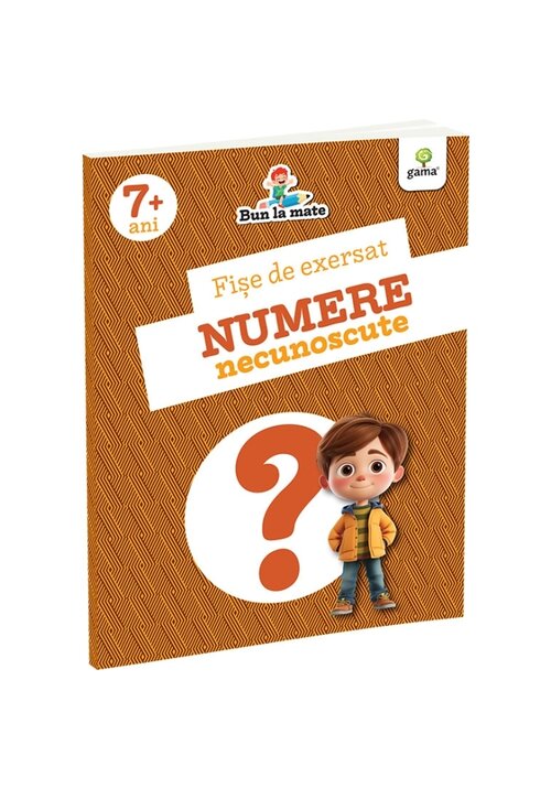 Fise de exersat NUMERE NECUNOSCUTE - 17.13 Lei