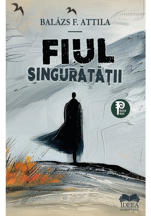 Fiul singuratatii - 18.65 Lei