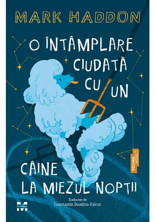 O intamplare ciudata cu un caine la miezul noptii - 46.51 Lei