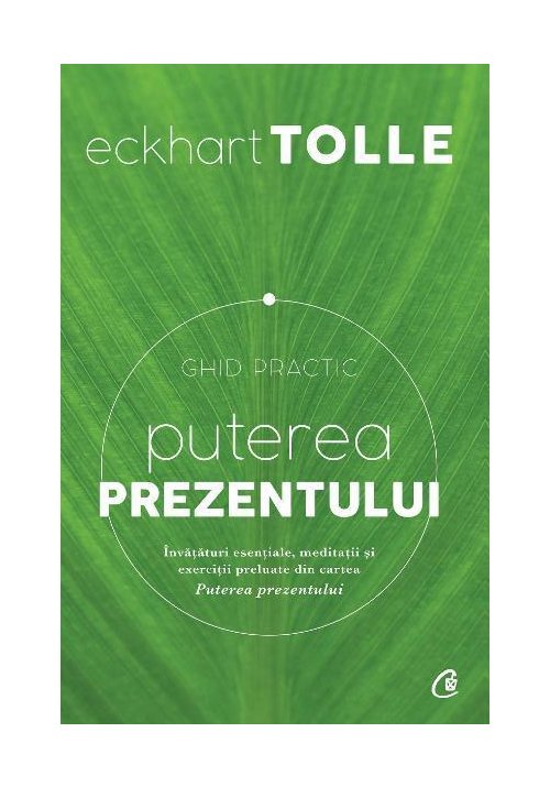 Puterea prezentului. Ghid practic - 29.60 Lei