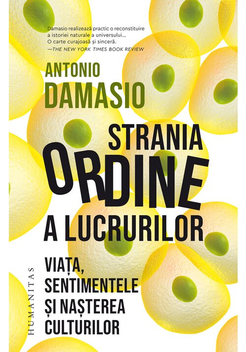 Strania ordine a lucrurilor - 46.62 Lei