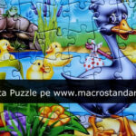 Puzzle Ratusca cea urata