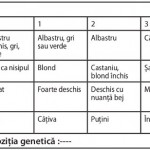 Diagrama Fitzpatrick cu tipurile de ten