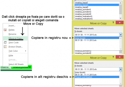 Copiere/Mutare foaie de lucru in registru Excel