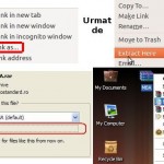 Save Link As urmat de Extract Here