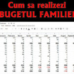 Bugetul anual al familiei