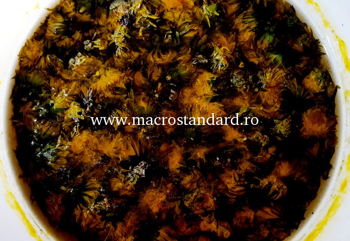 Flori de papadie macerate