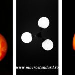 Fotografii realizare cu telefonul mobil