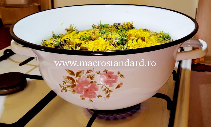 Pui florile cu apa la foc potrivit