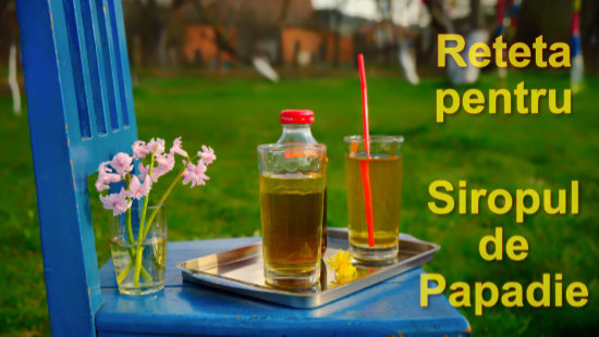 Click aici pentru vizualizare Reteta de sirop de flori din papadie pe care am folosit-o anul acesta Reteta de sirop de flori din papadie pe care am folosit-o anul acesta