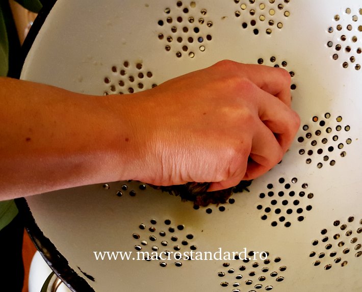 Se storc bine de apa florile macerate