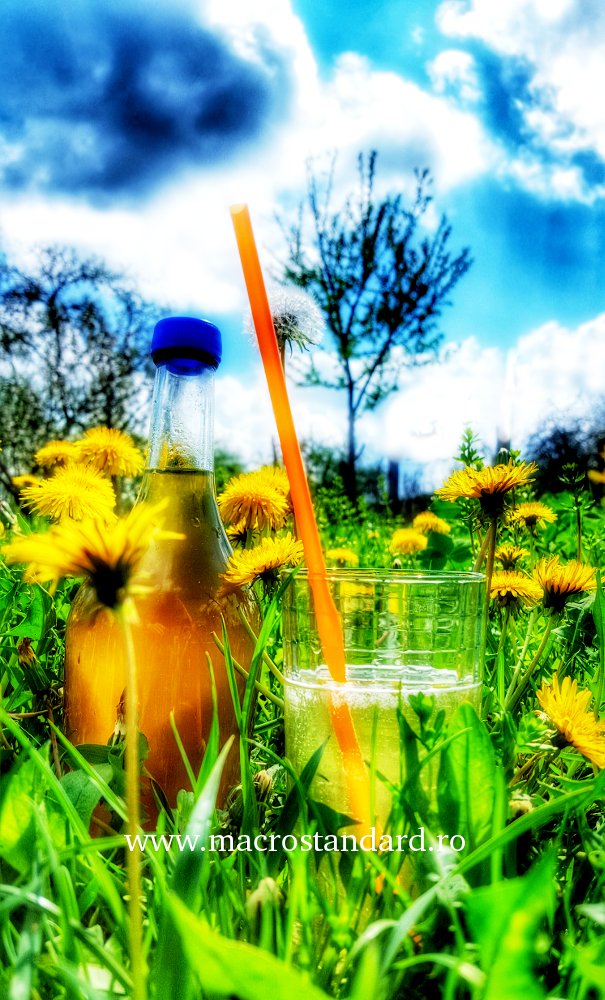 Sirop din flori de papadie