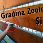 Gradina Zoologica din Sibiu